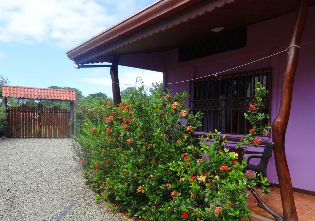 Casa Alegra Apartment Puerto Viejo de Talamanca Екстериор снимка